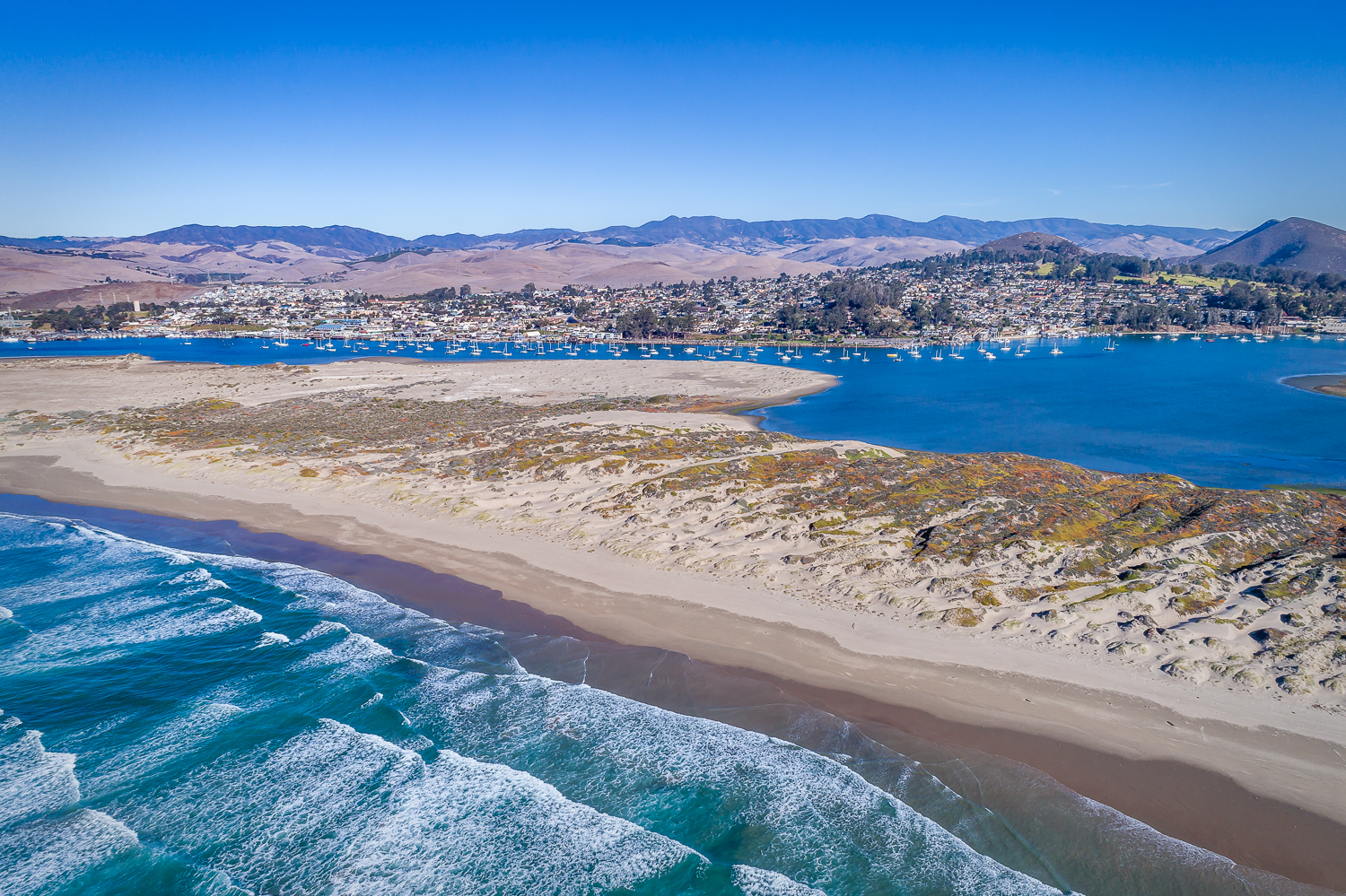 Bear Valley Realty — contact